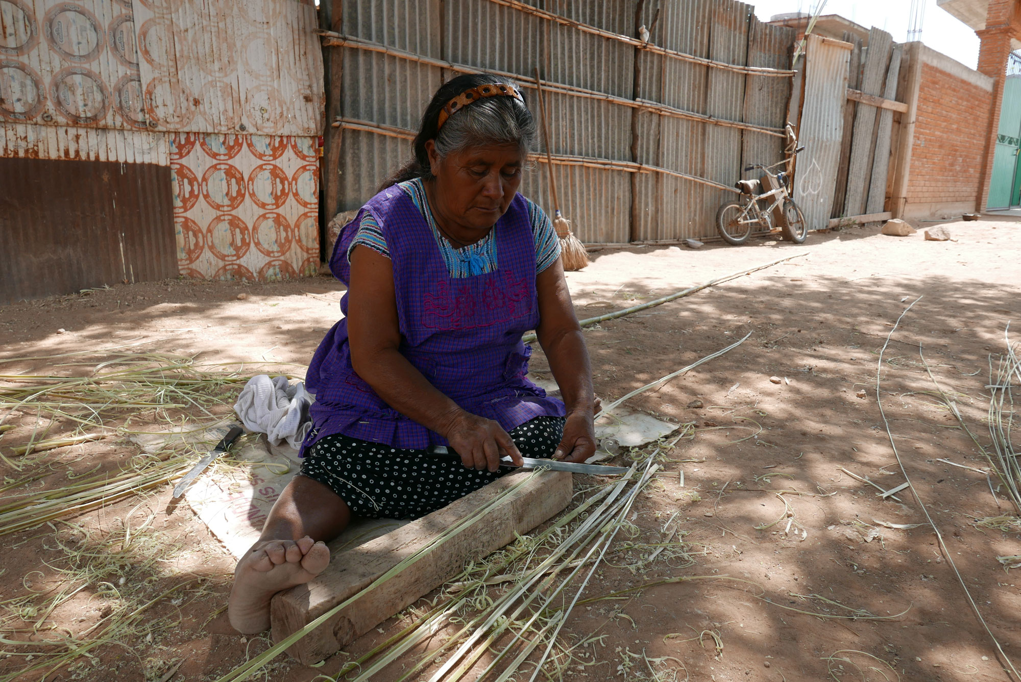 Artisan Cutting Carrizo Reeds Ready for Weaving Baskets in Oaxaca Mexico - www.nidocollective.com/carrizoweaving #carrizo #canastascarrizo #basketweaving