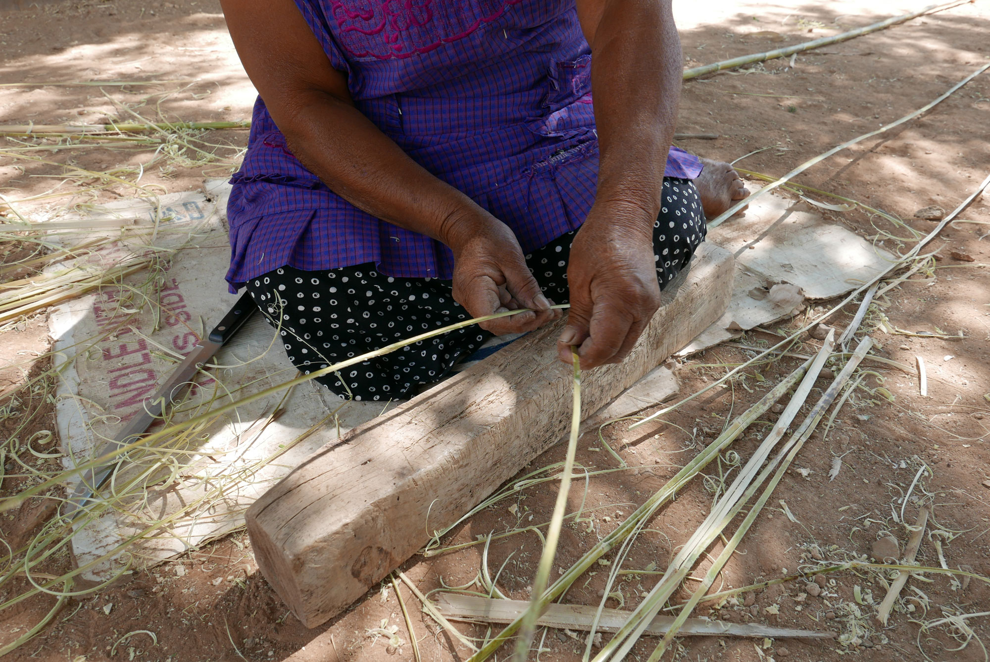 Artisan Splitting Carrizo Reeds Ready for Weaving Baskets in Oaxaca Mexico - www.nidocollective.com/carrizoweaving #carrizo #canastascarrizo #basketweaving